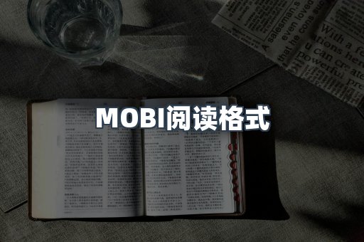 EPUB电子书